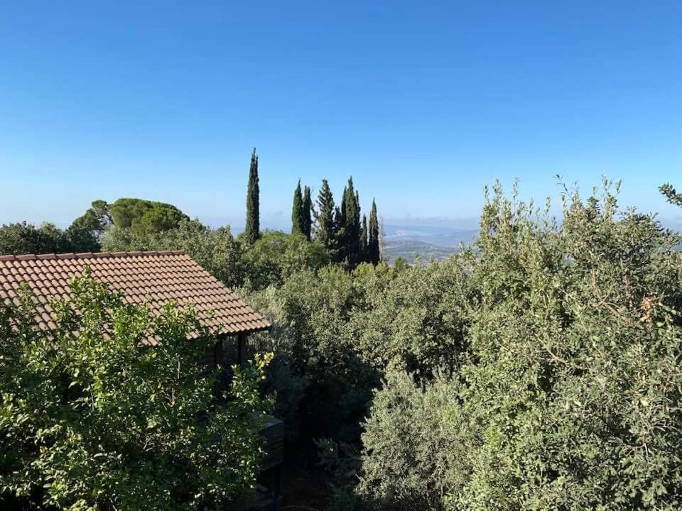 Roof Of The Galilee Villa Амирим Екстериор снимка